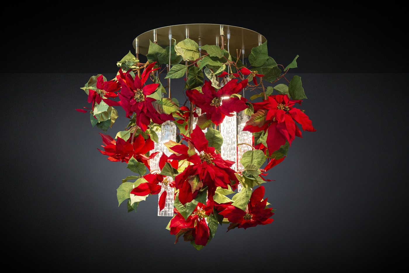 1639581029-8880520.84 -FP POINSETTIA__PAP3957